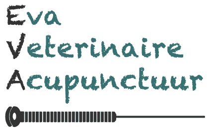 Eva Veterinaire Acupunctuur